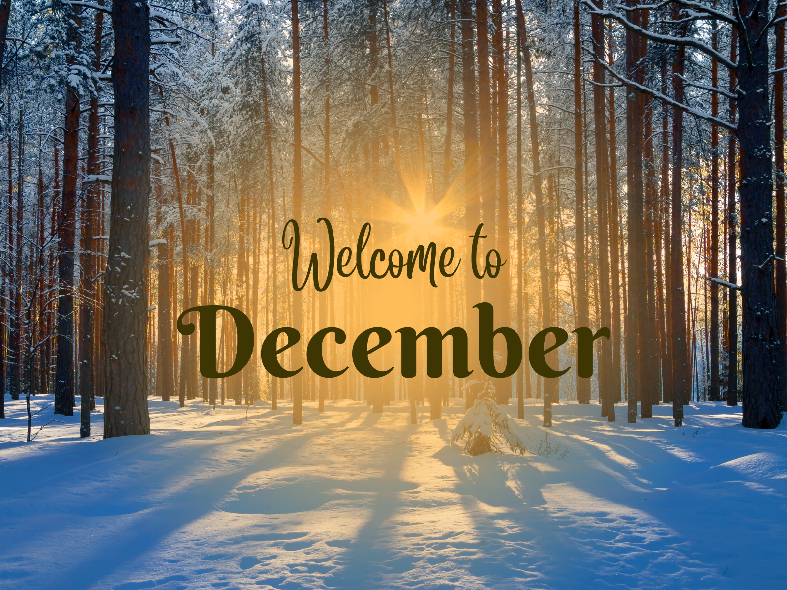 new month messages for december